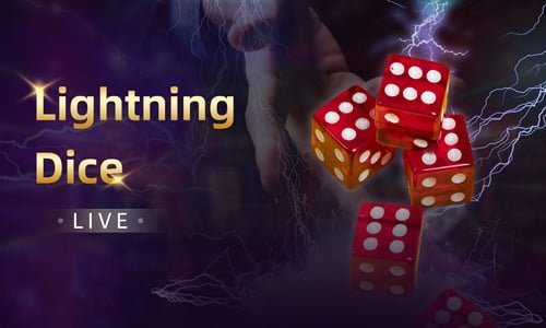 lbk8